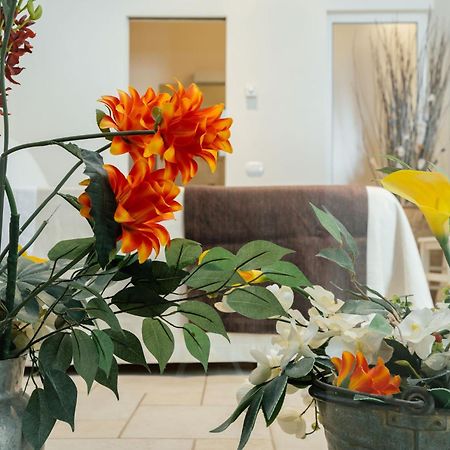 Il Claustro - Bed And Breakfast アルタムラ エクステリア 写真